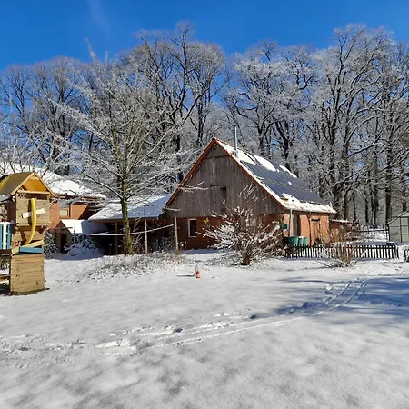 Muehlenbach Kotten- Bauernhofurlaub Mit Hund Und Pferd Apartment *