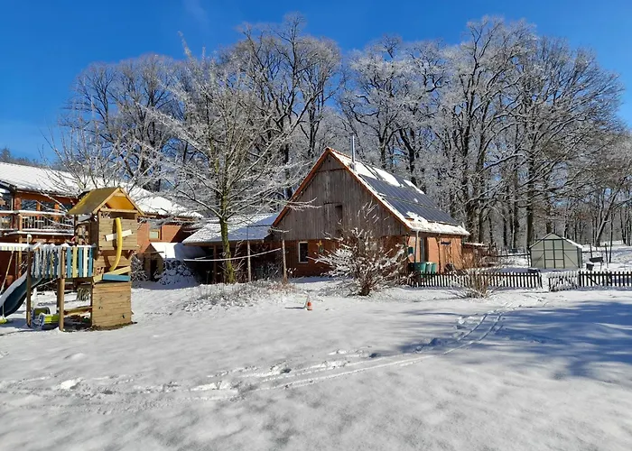 Mühlenbach Kotten- Bauernhofurlaub Mit Hund Und Pferd Apartment *