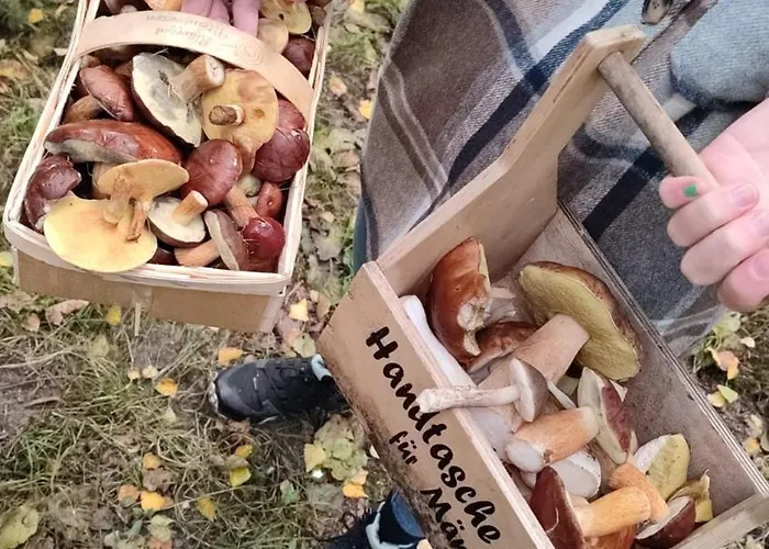 Mühlenbach Kotten- Bauernhofurlaub Mit Hund Und Pferd *